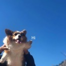 頭油我用斯丹康